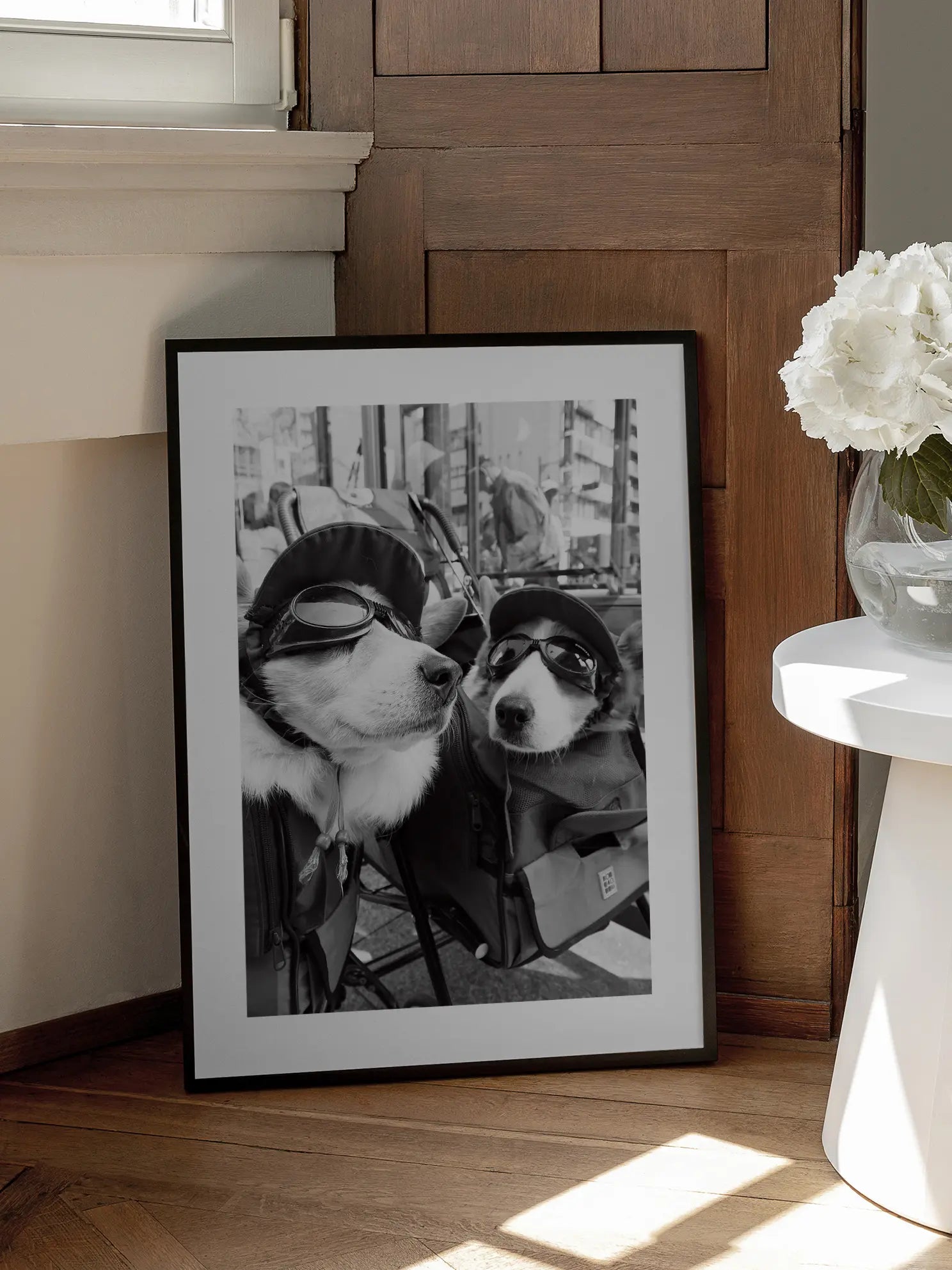 Conversation of the Corgi Poster