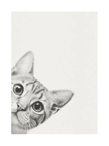 Illustration einer Katze in Schwarzweiß, die um die Ecke schaut, vor einem hellgrauen Hintergrund.