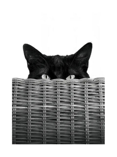 Schwarz-Weiß-Fotografie eines schwarzen Katers, der hinter einem geflochtenen Korb hervorschaut.