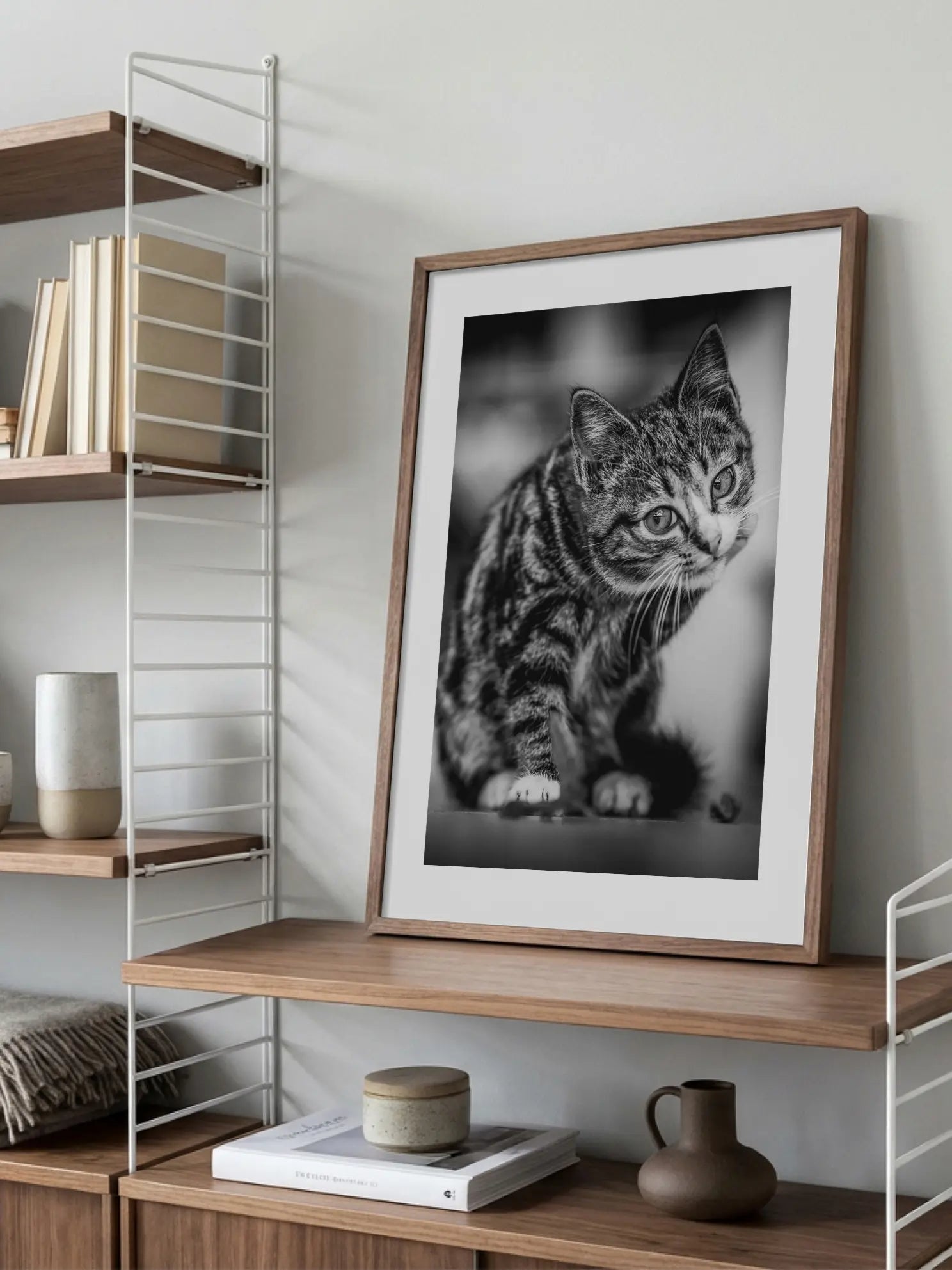 Curious Kitten Poster