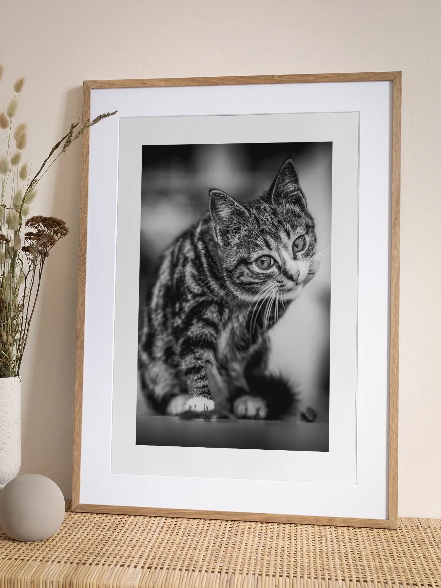 Curious Kitten Poster