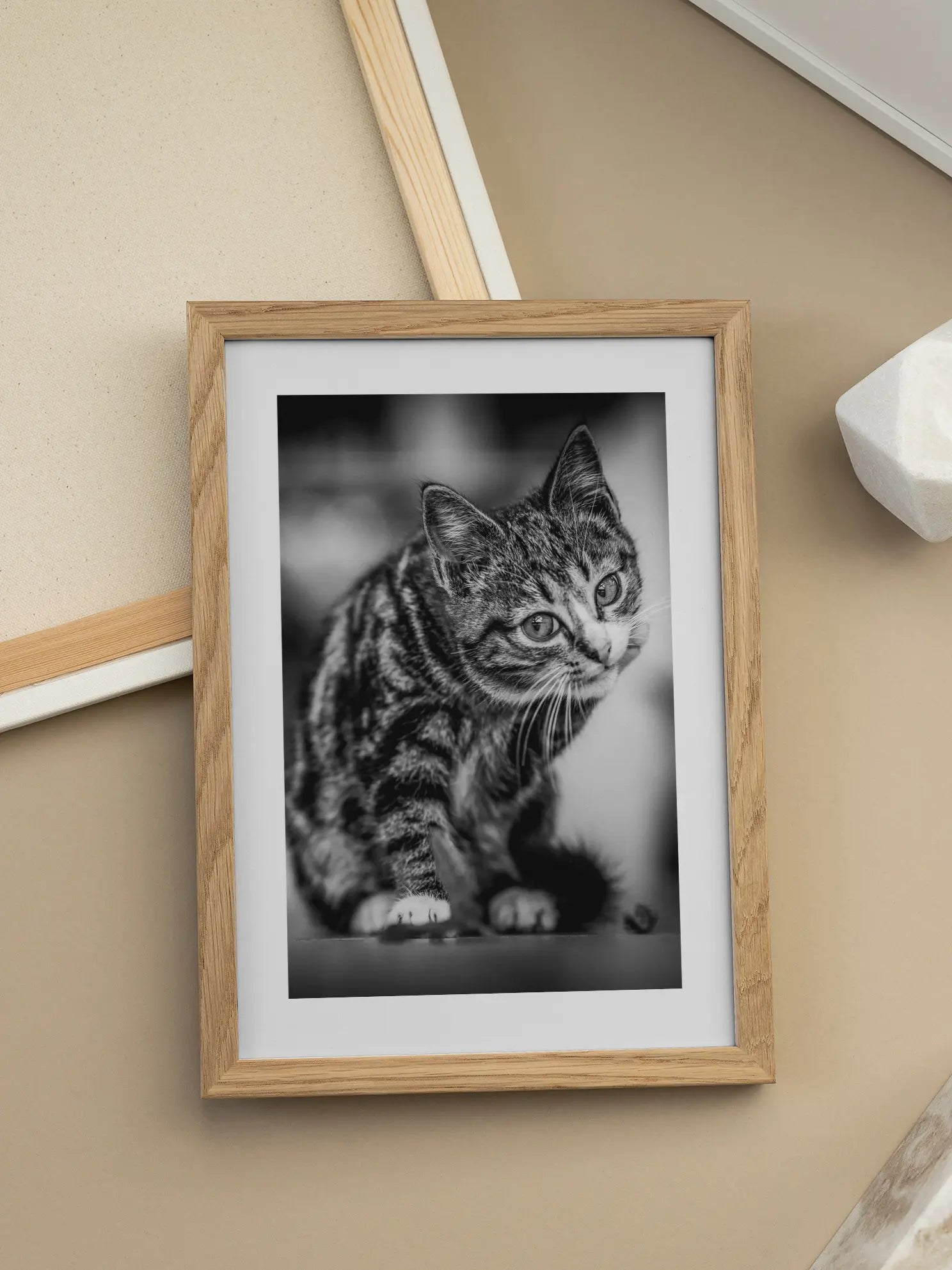 Curious Kitten Poster