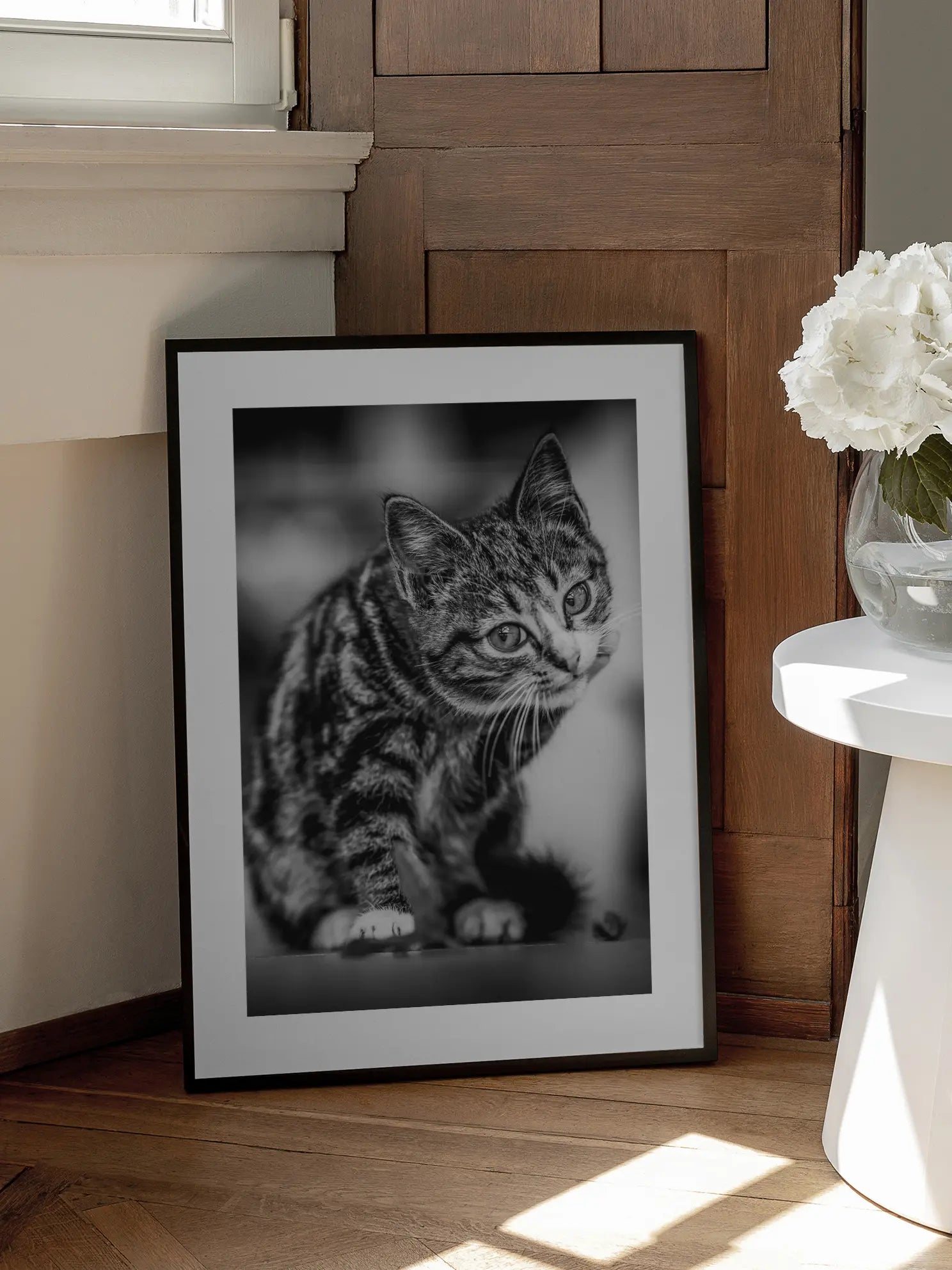 Curious Kitten Poster