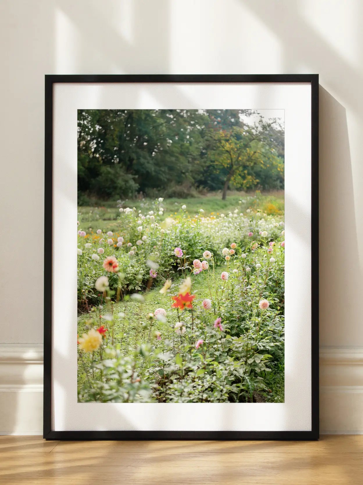 Dahlia Garden Meadow