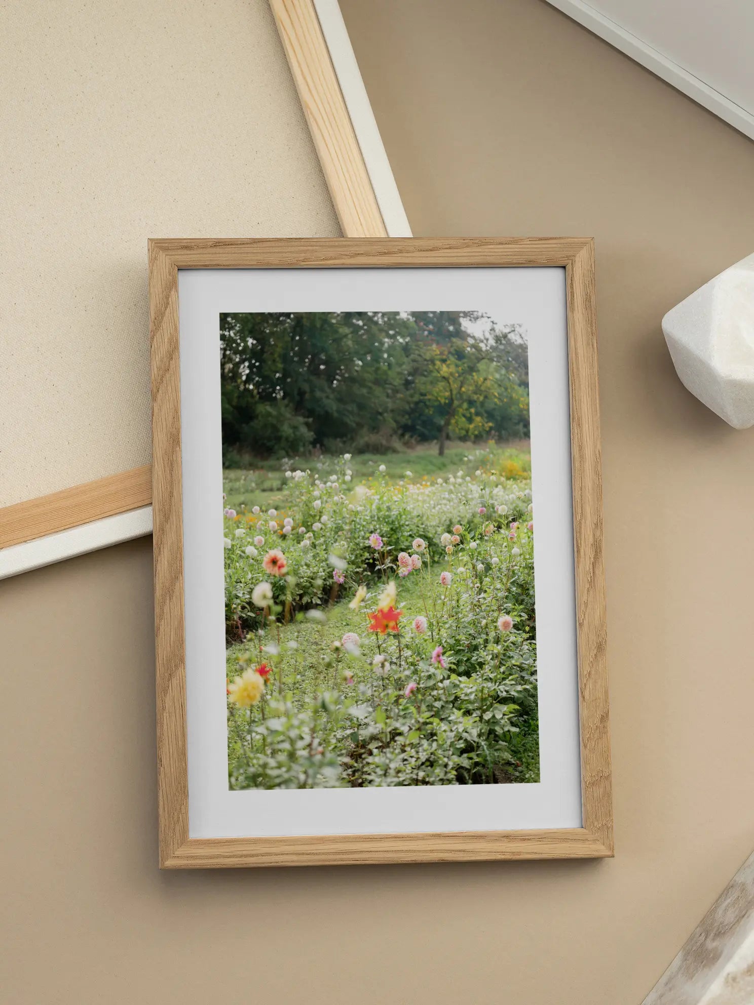 Dahlia Garden Meadow Poster