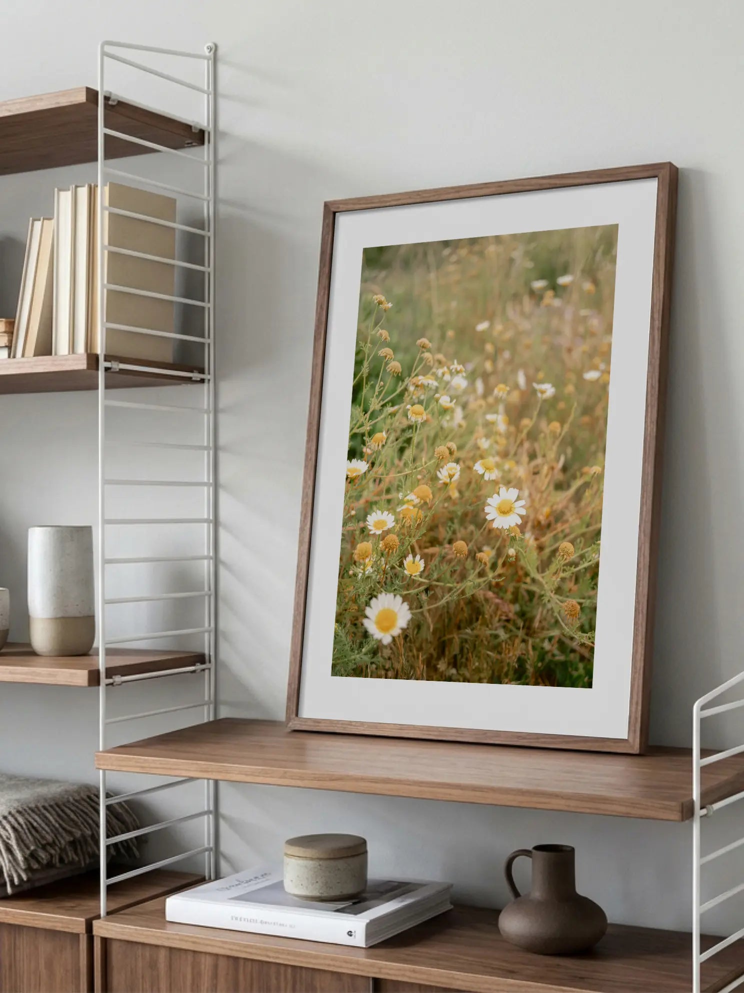Daisy Field Close Up Poster