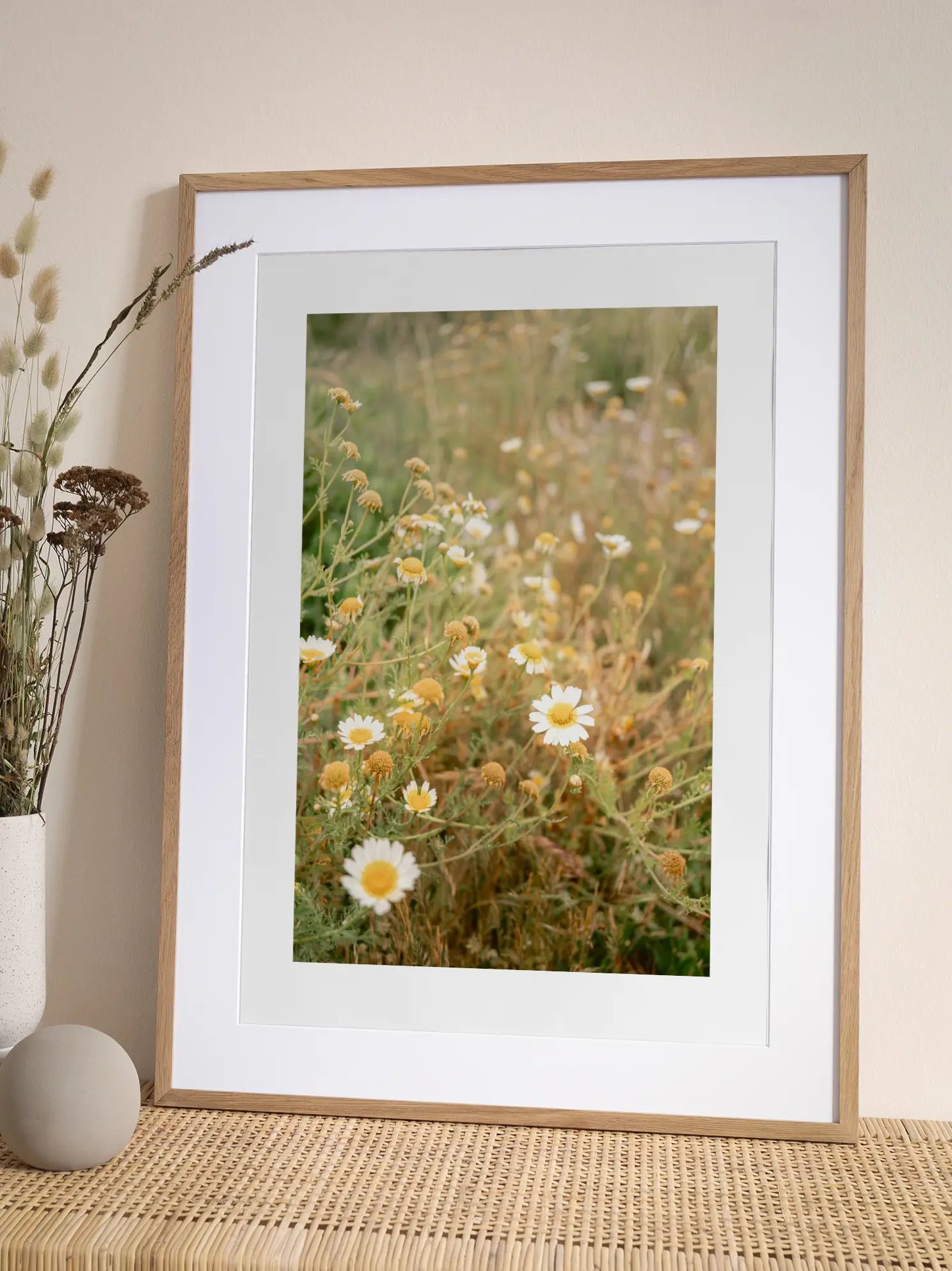 Daisy Field Close Up Poster