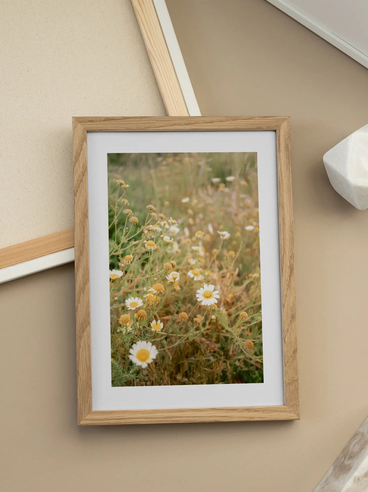 Daisy Field Close Up Poster