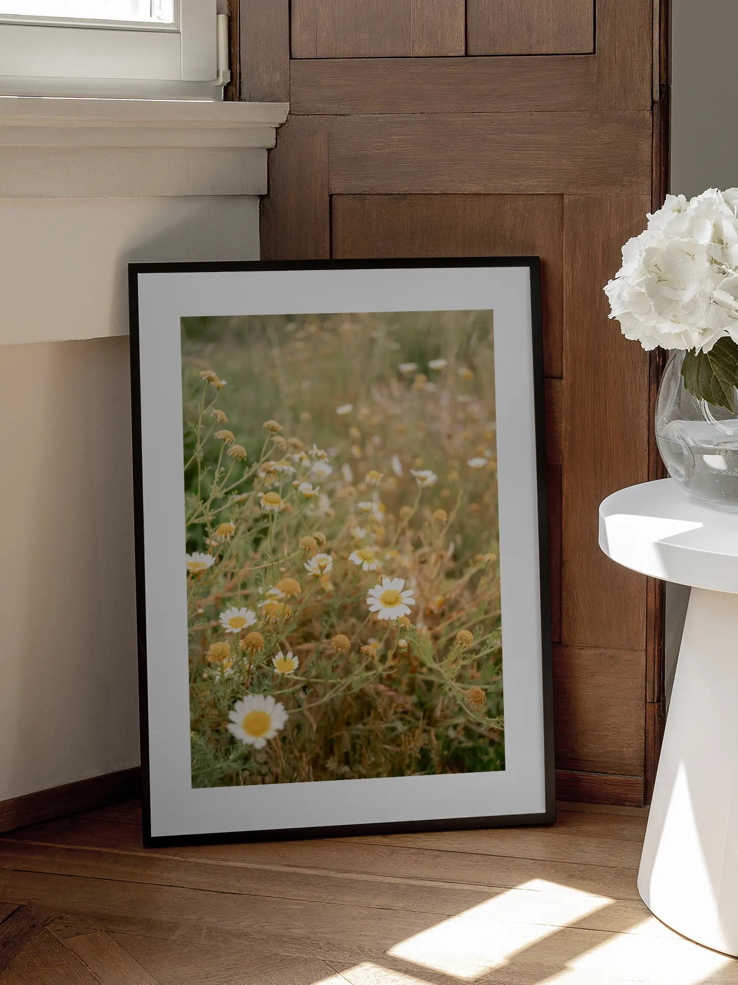 Daisy Field Close Up Poster