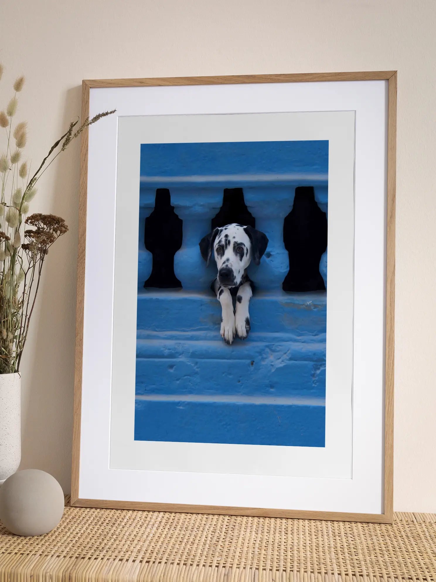 Dalmatian Puppy Poster