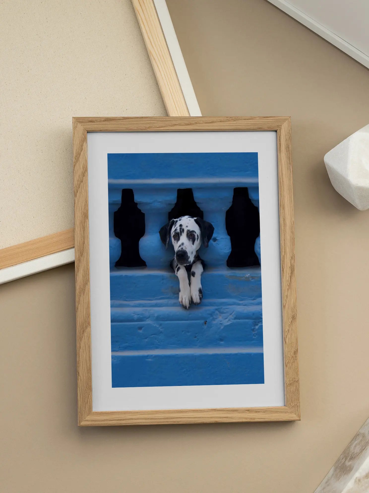 Dalmatian Puppy Poster