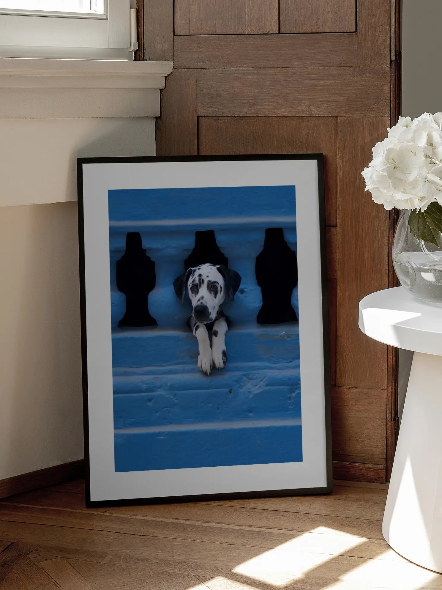 Dalmatian Puppy Poster