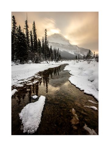 Winterliche Flusslandschaft mit schneebedeckten Bäumen und einem Berg im Hintergrund.