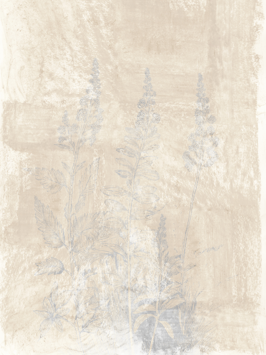 Illustration von getrockneten Blumen in Beige auf einem strukturierten Hintergrund.