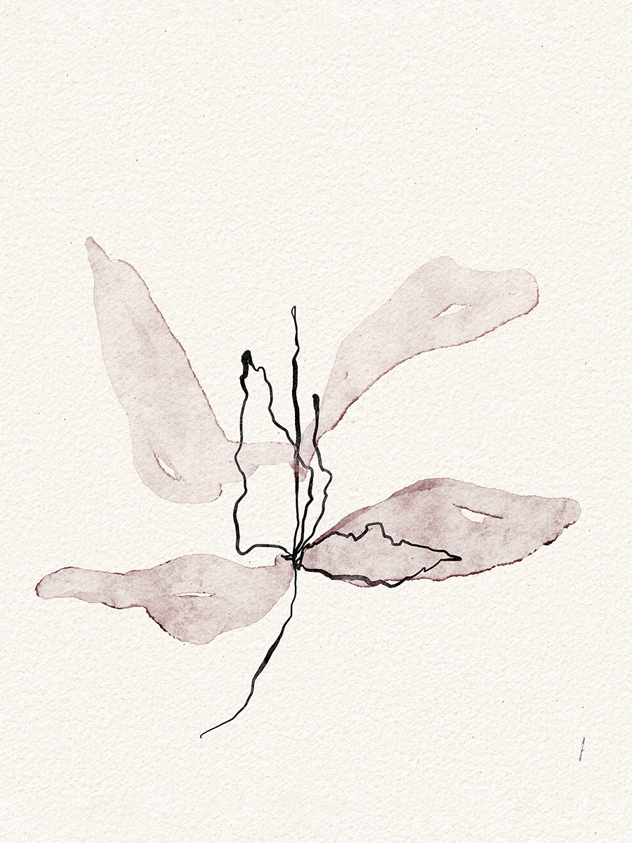 Abstrakte Illustration einer Blume mit rosa Blütenblättern und schwarzen Linien auf hellem Hintergrund.