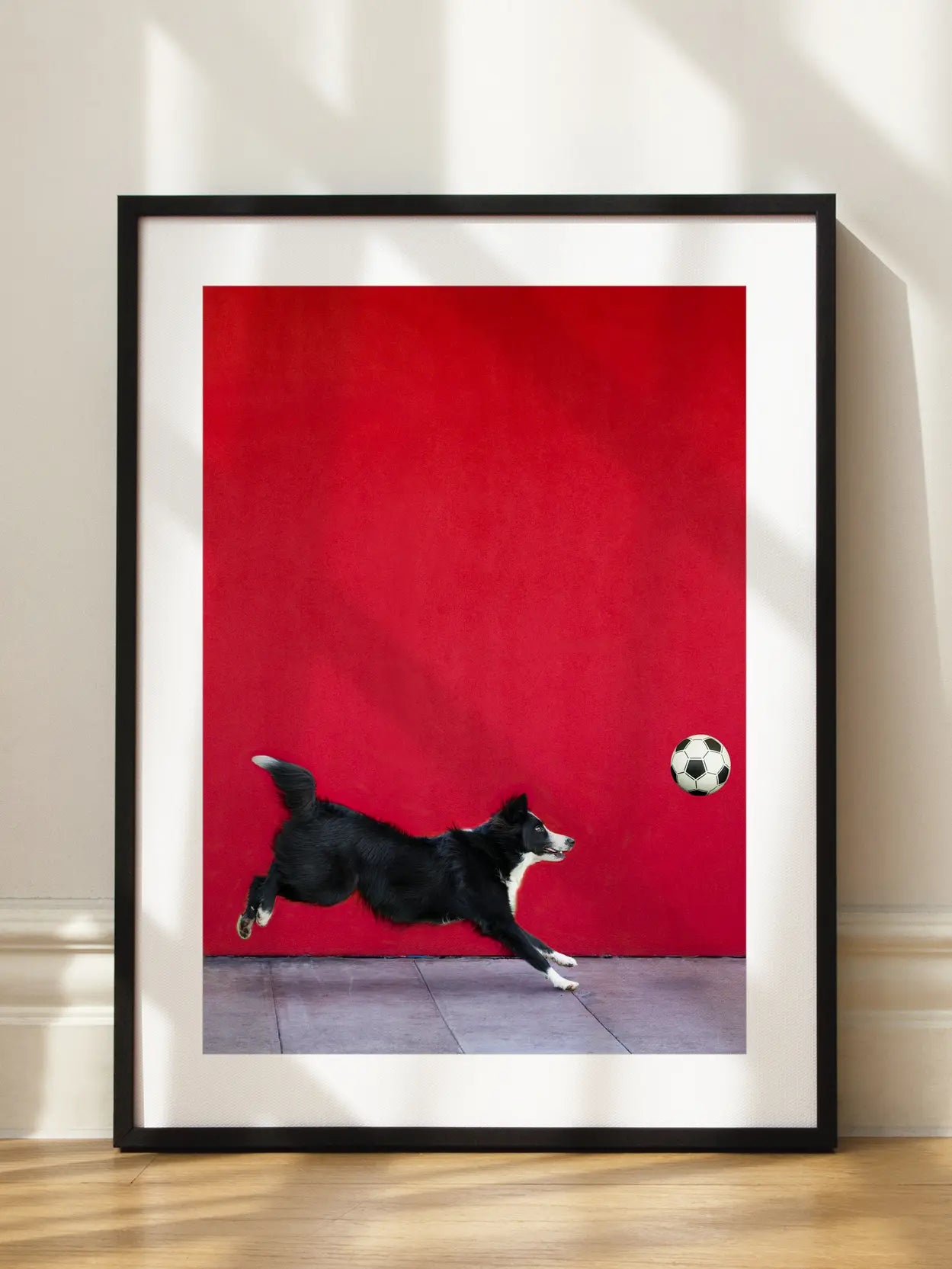 Dog Catching a Ball
