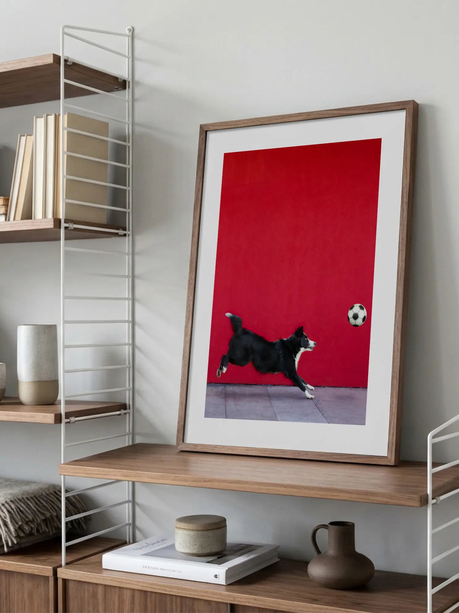 Dog Catching a Ball Poster