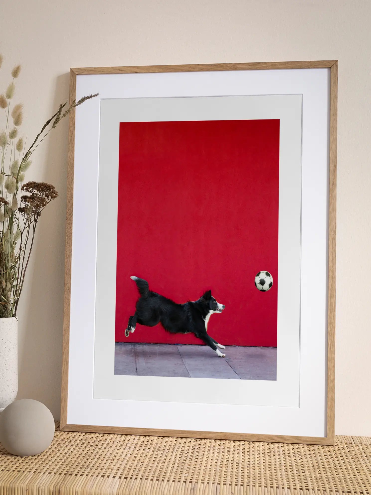 Dog Catching a Ball Poster