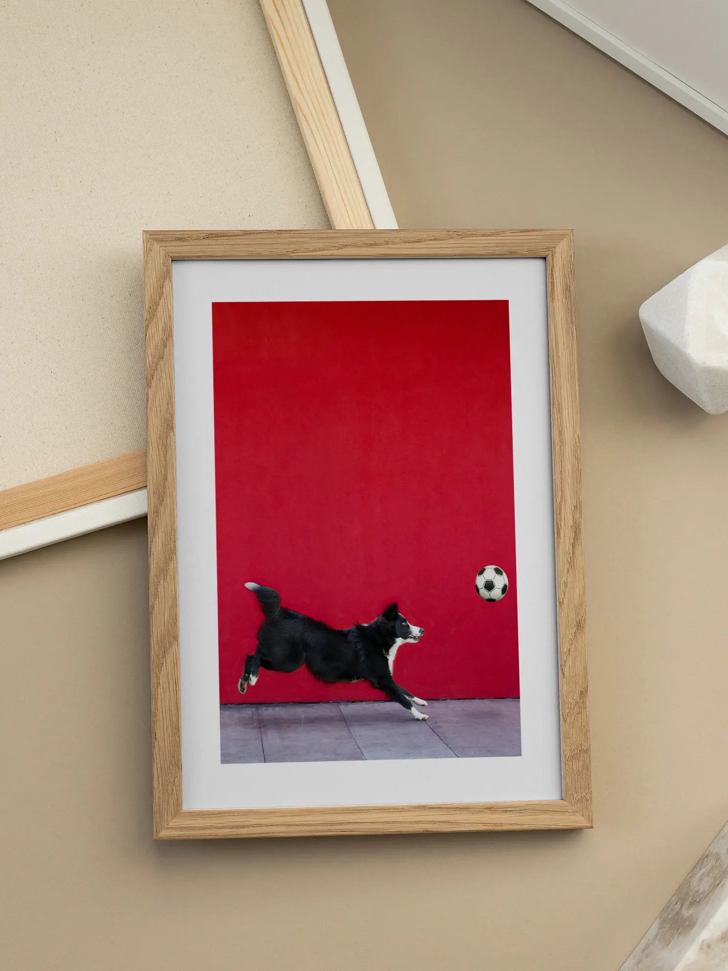 Dog Catching a Ball Poster