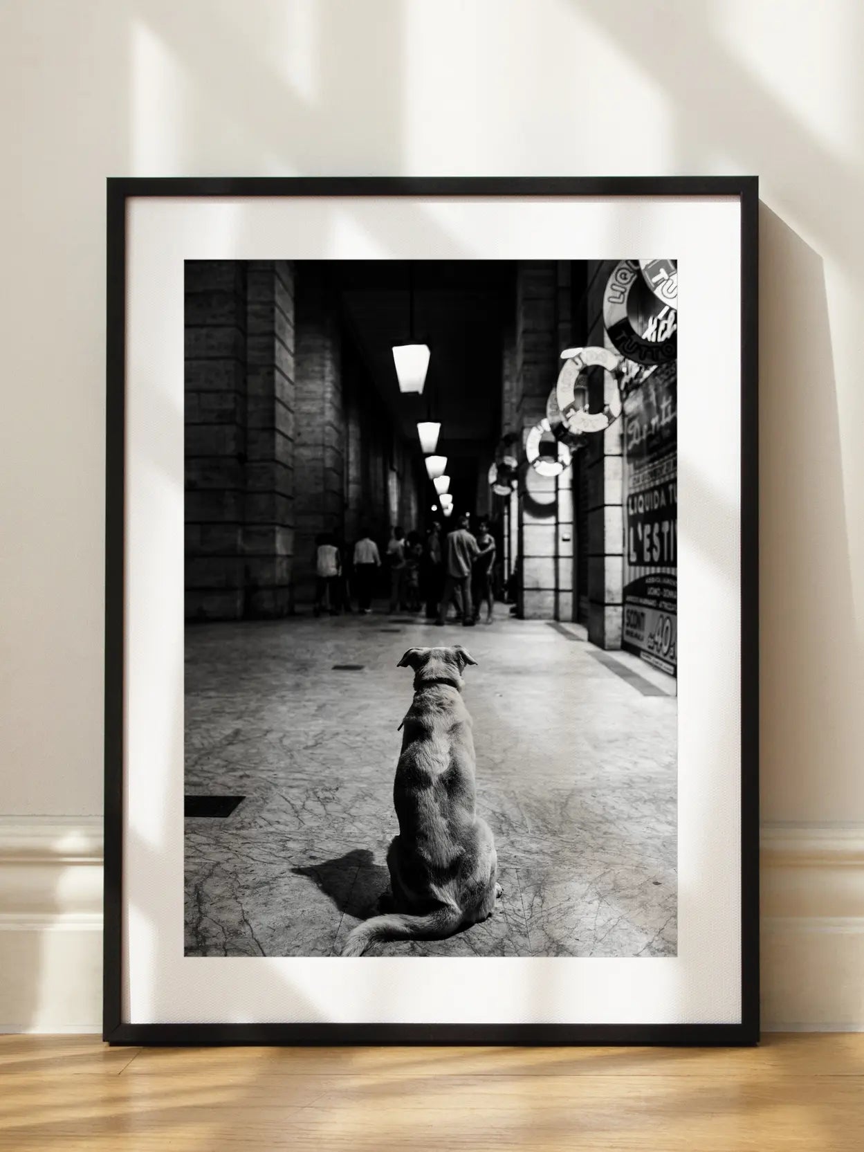 Dog Waiting Poster