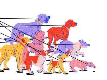 Illustration von mehreren Hunden in leuchtenden Farben, die zusammen spazieren gehen.