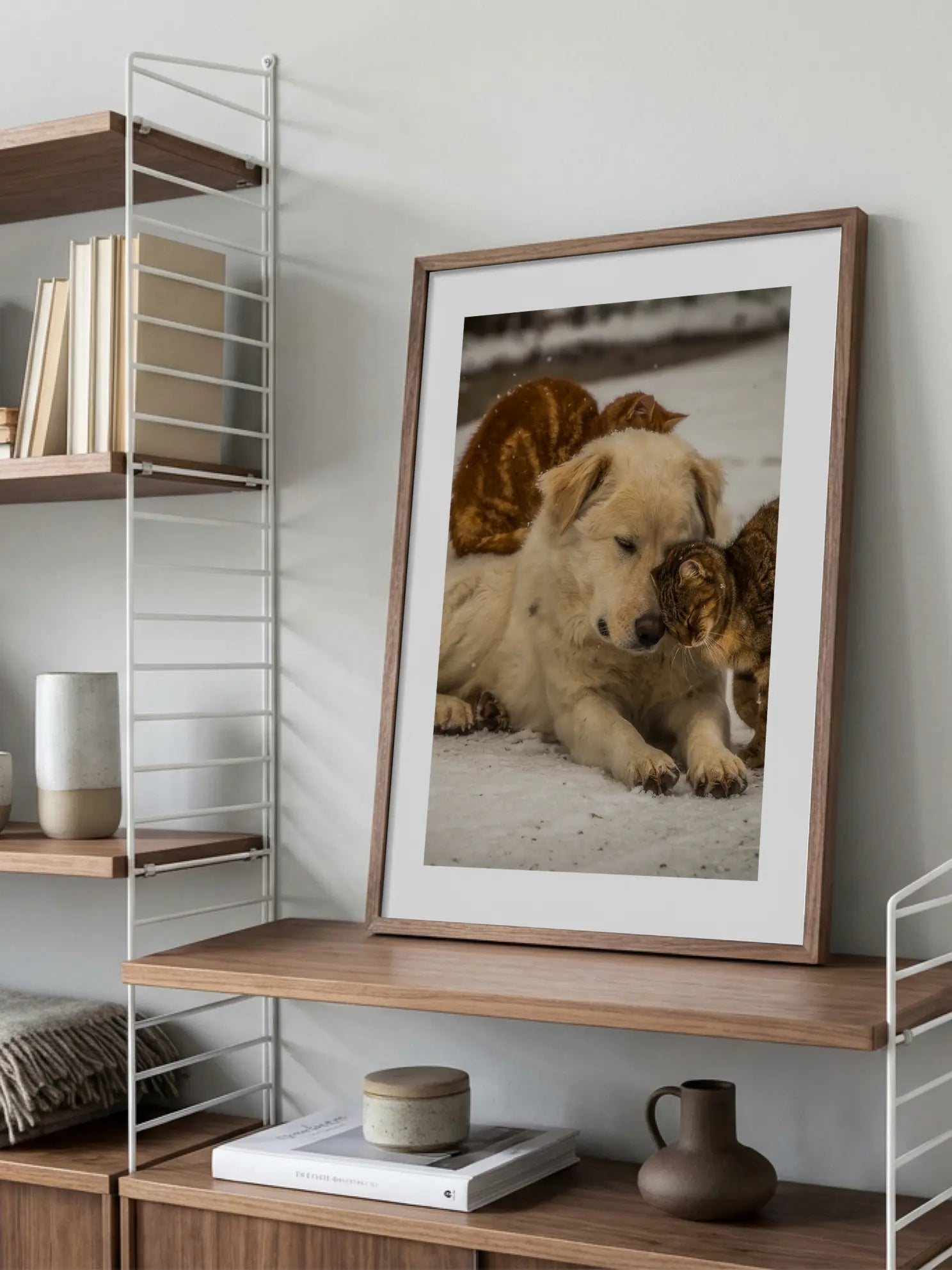 Dog and Cats Poster