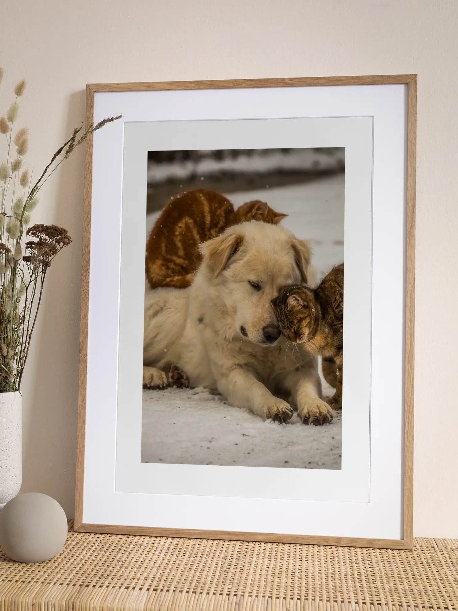 Dog and Cats Poster