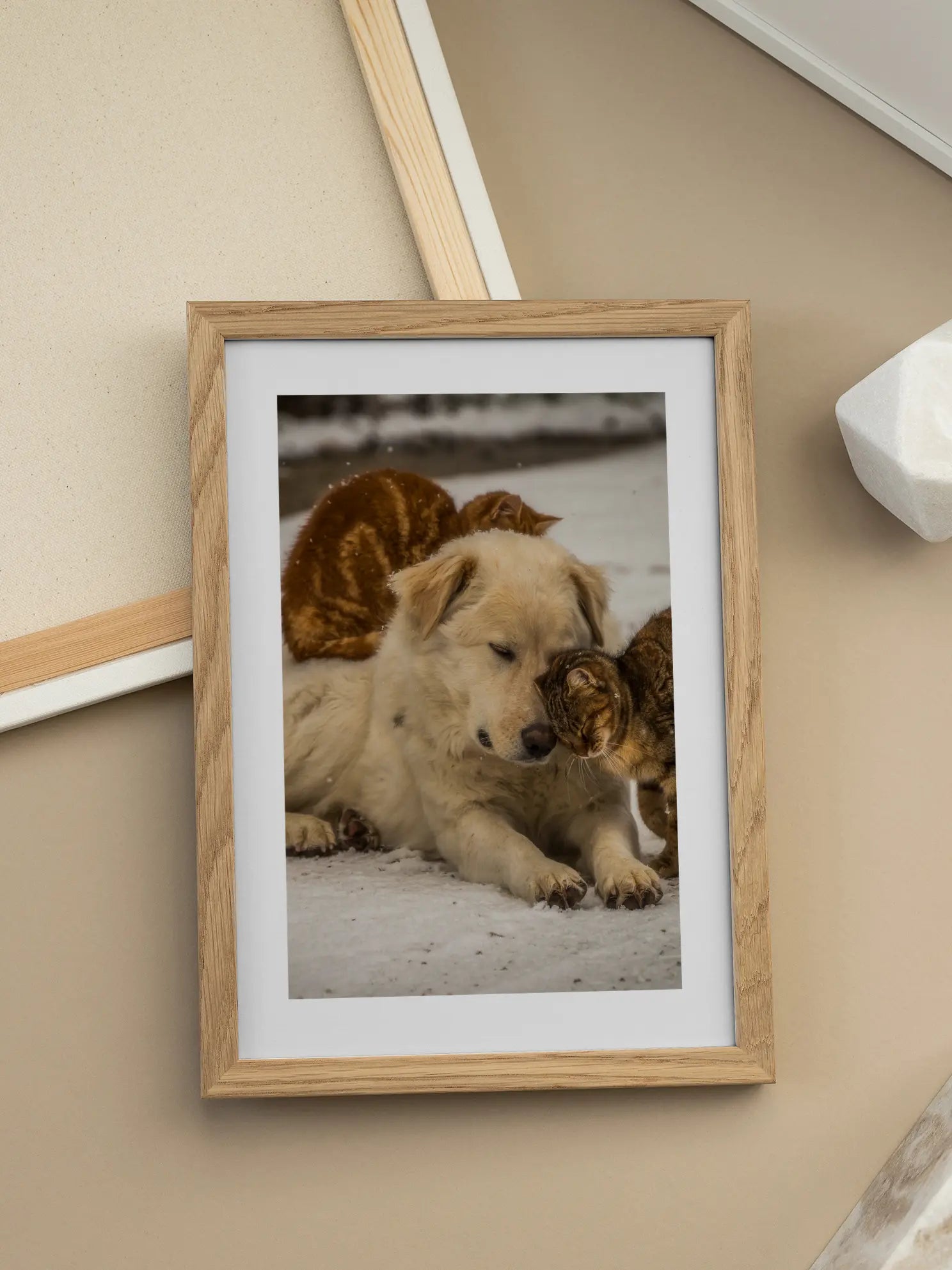 Dog and Cats Poster