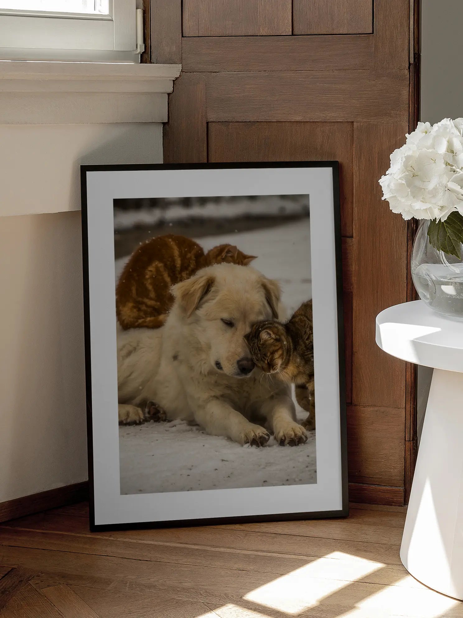 Dog and Cats Poster