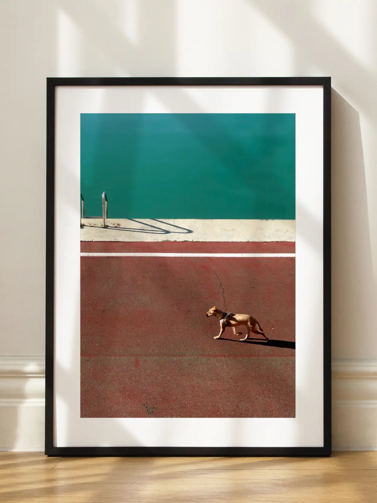 Dog by the Pool Poster