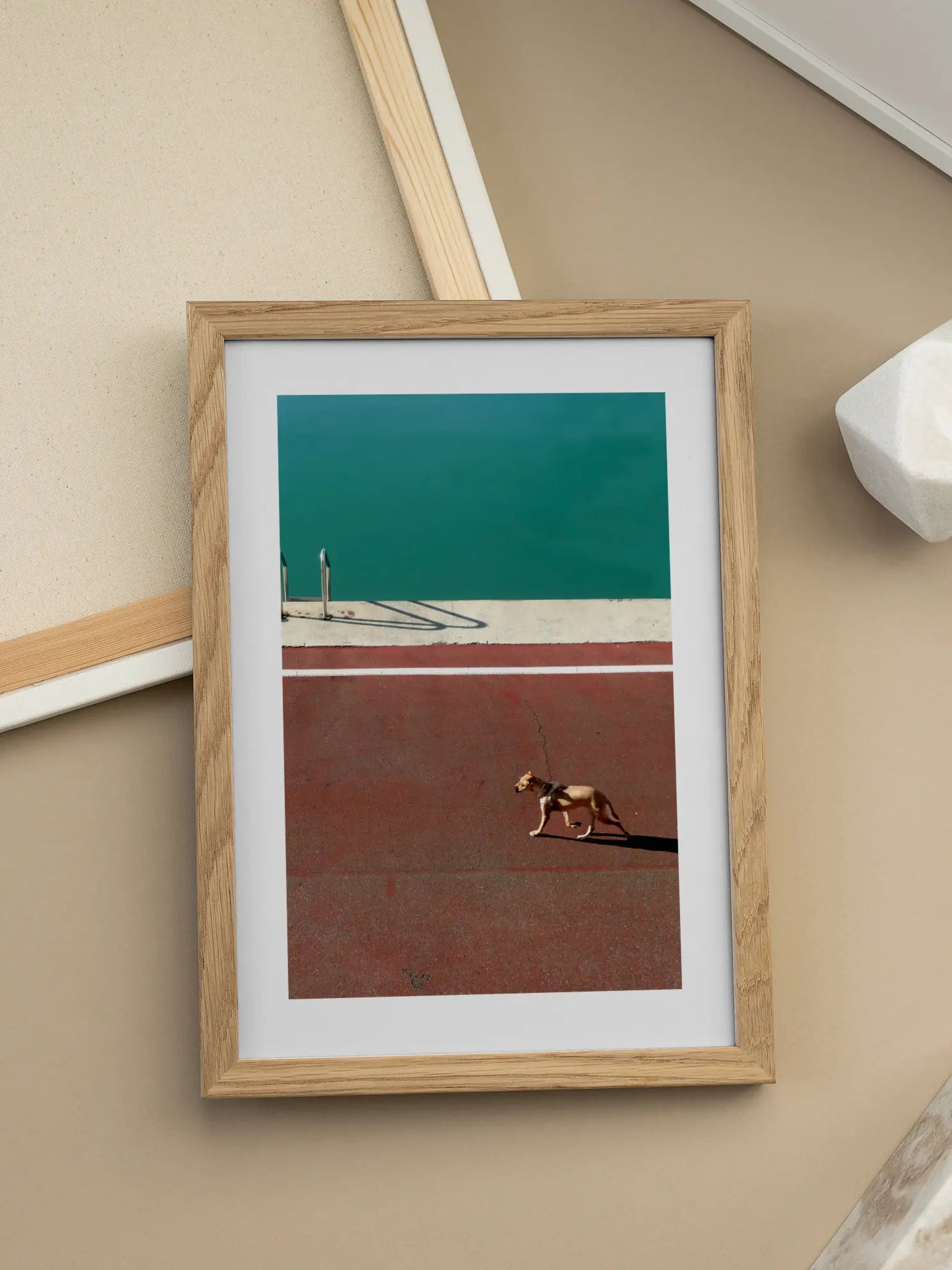 Dog by the Pool Poster