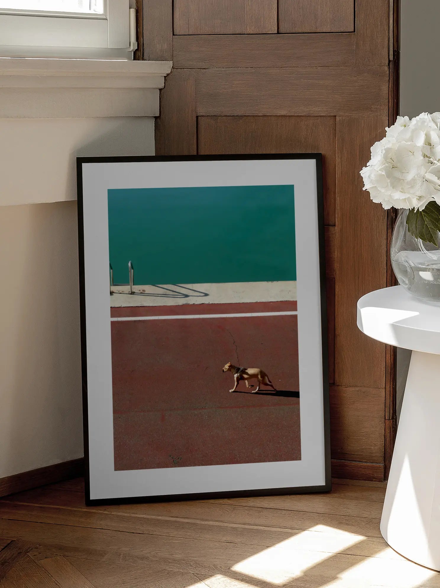 Dog by the Pool Poster