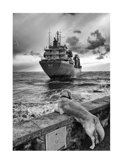 Schwarz-weiß-Fotografie eines Hundes, der auf ein Schiff im Meer blickt, mit bewölktem Himmel.