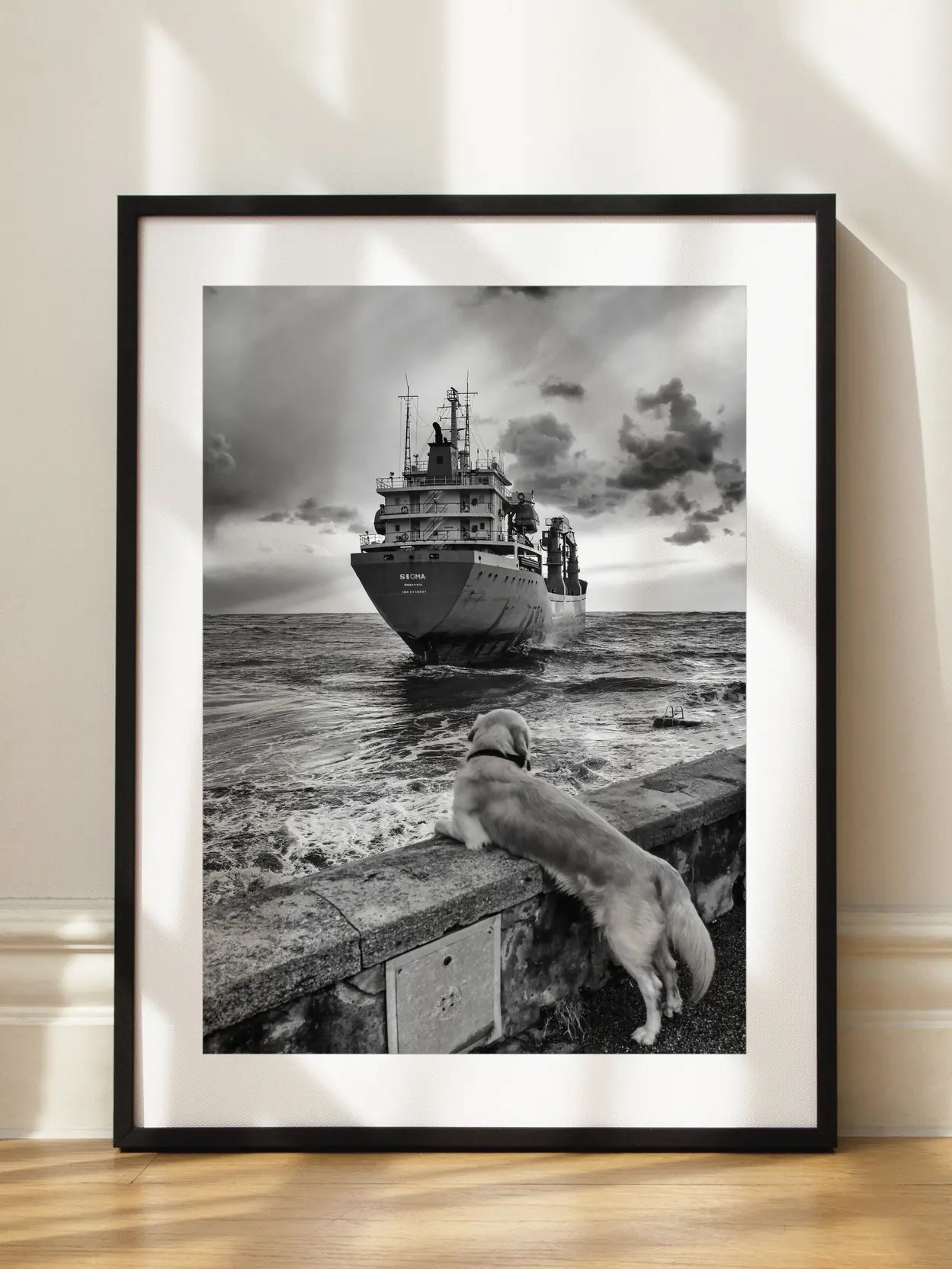 Dog by the Sea Poster