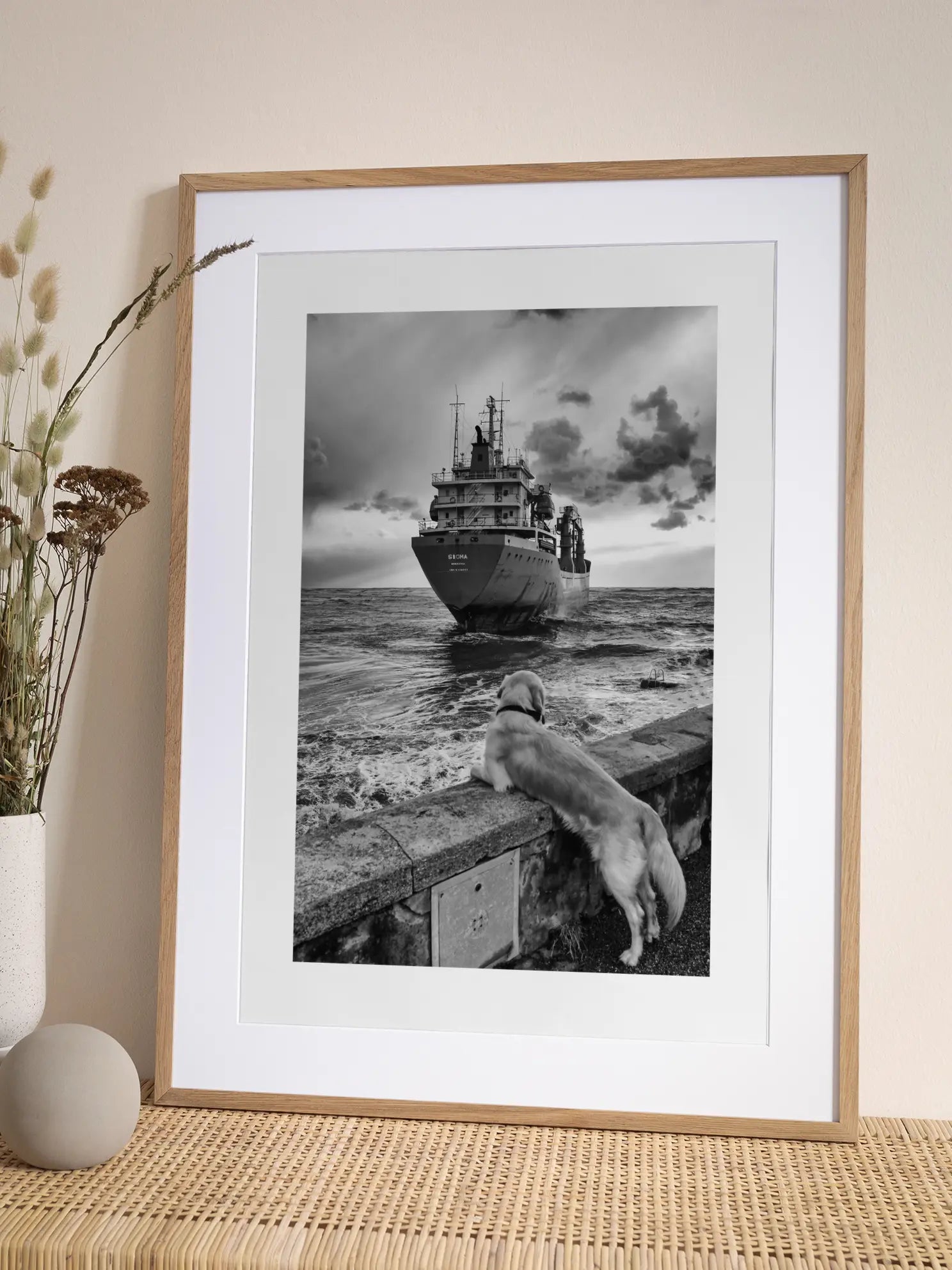 Dog by the Sea Poster