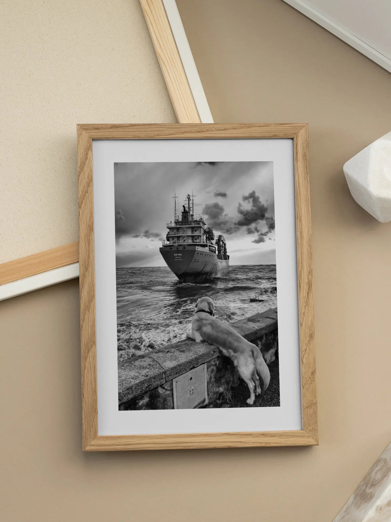 Dog by the Sea Poster