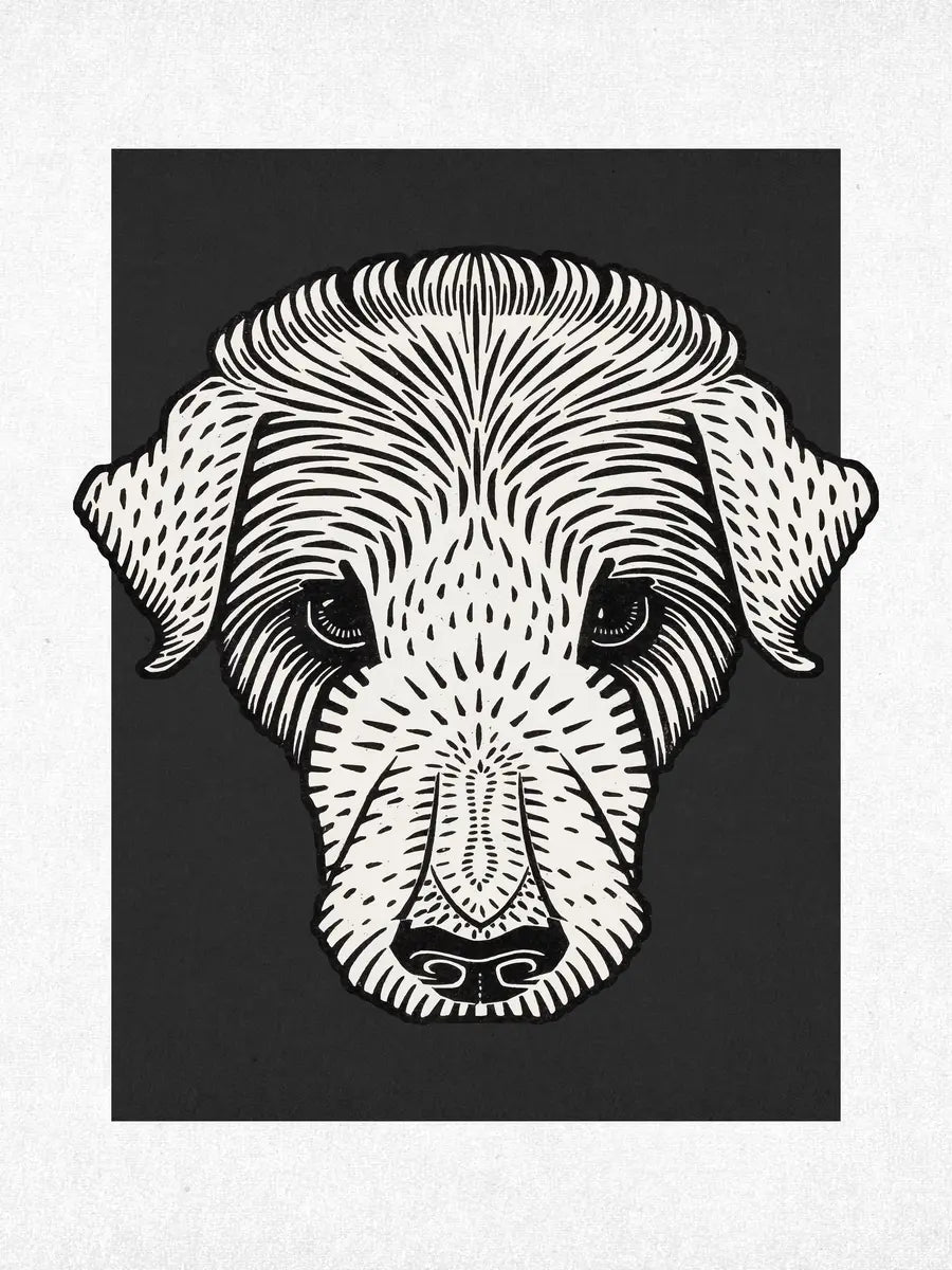 Dog in Black and White Poster
