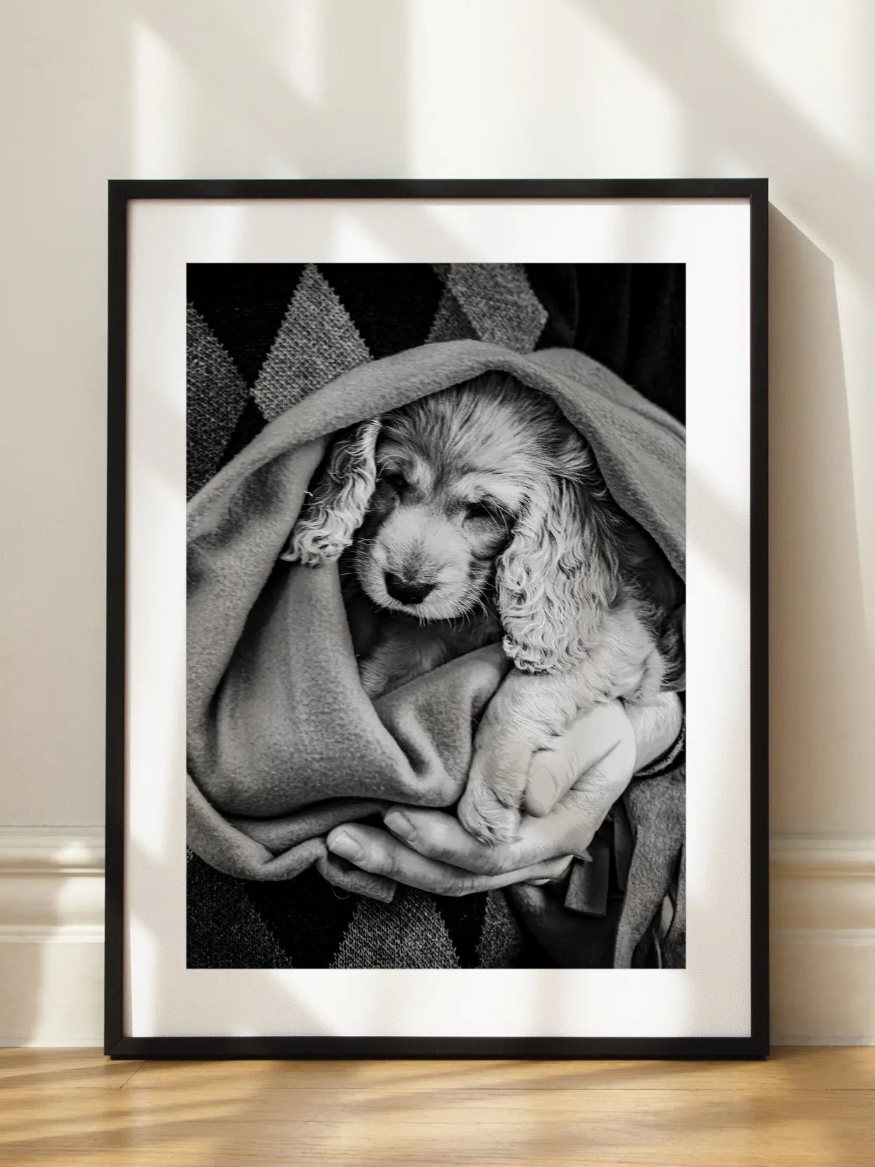 Dog in Blanket Poster