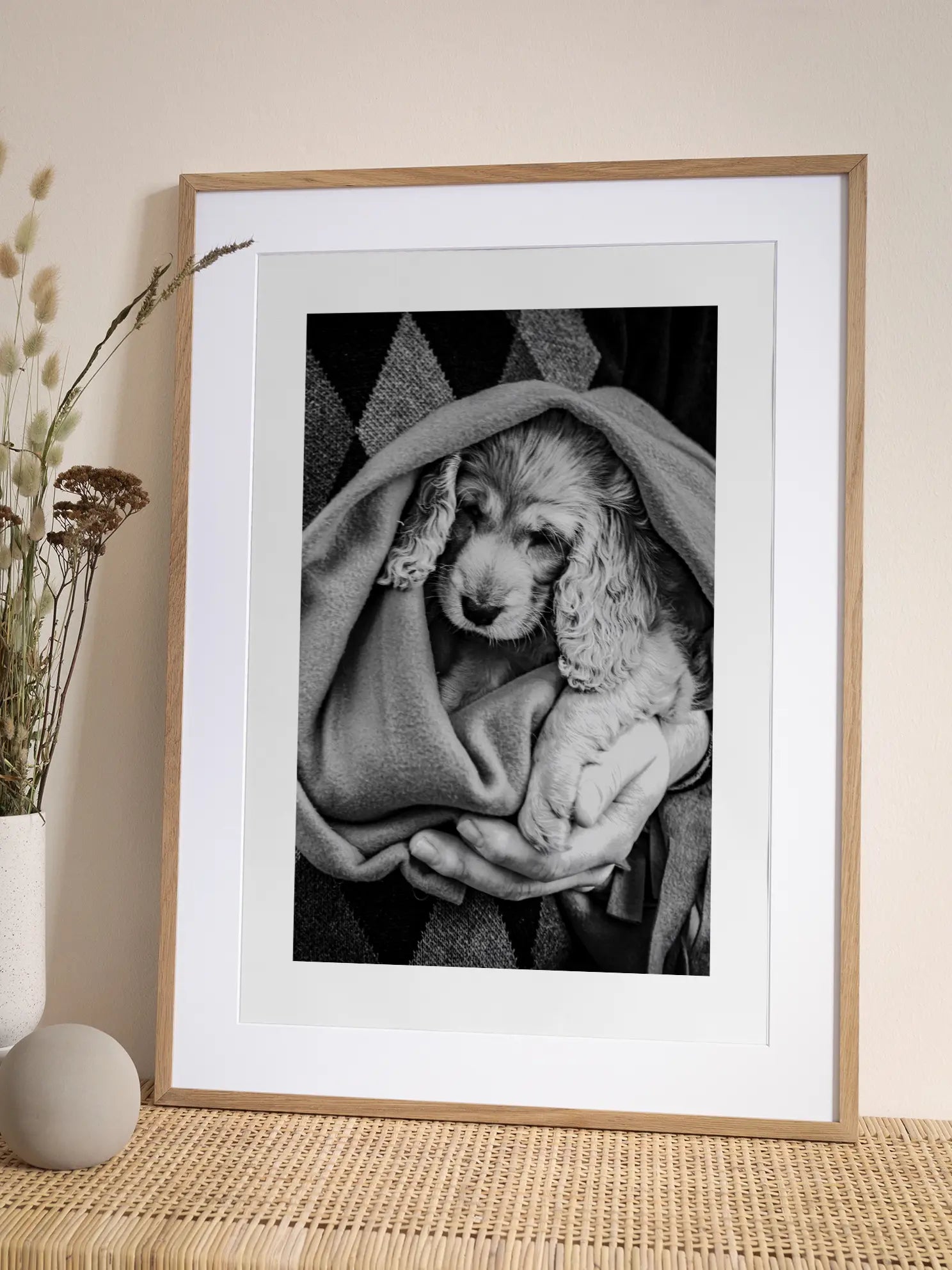 Dog in Blanket Poster