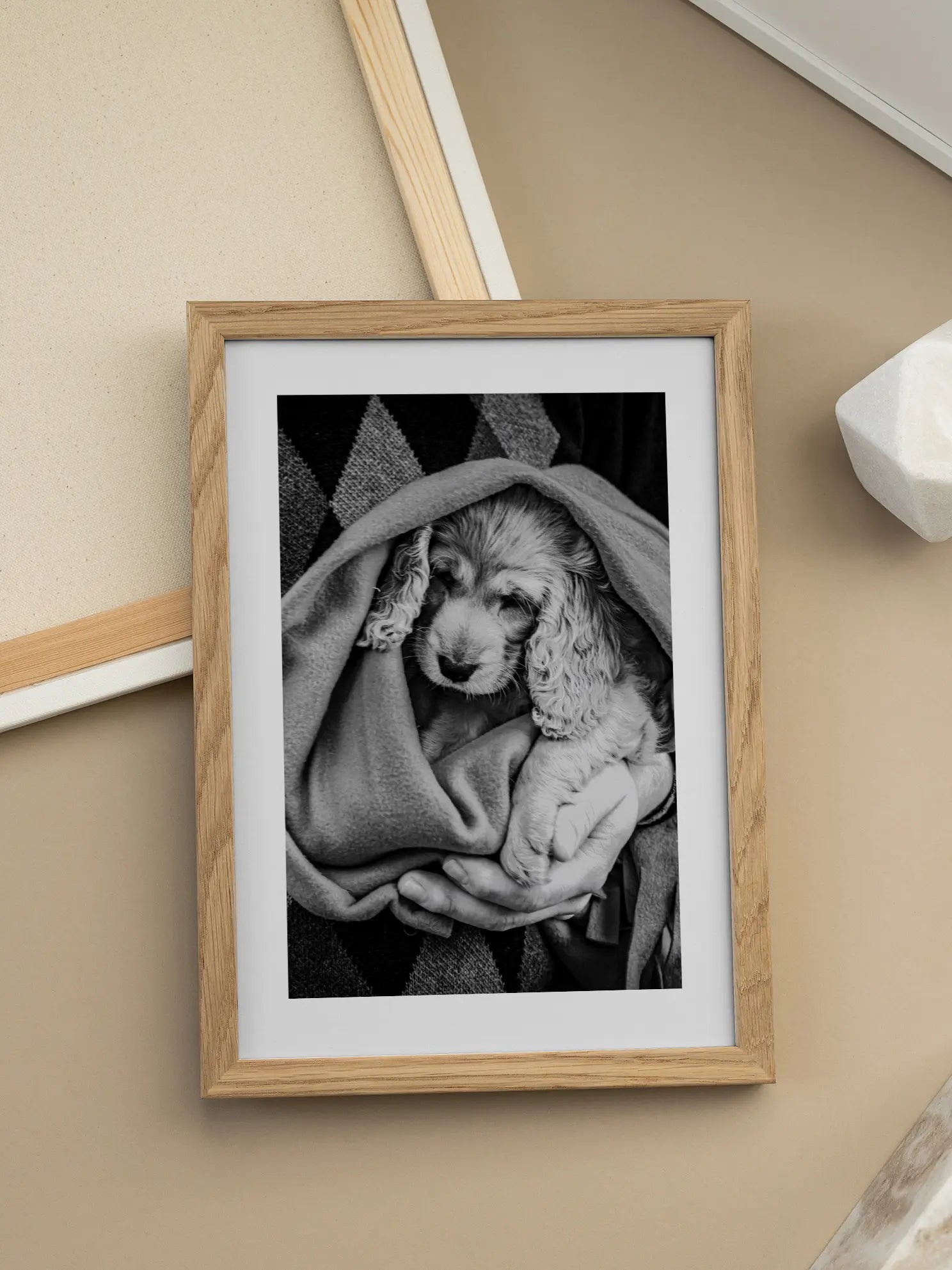 Dog in Blanket Poster