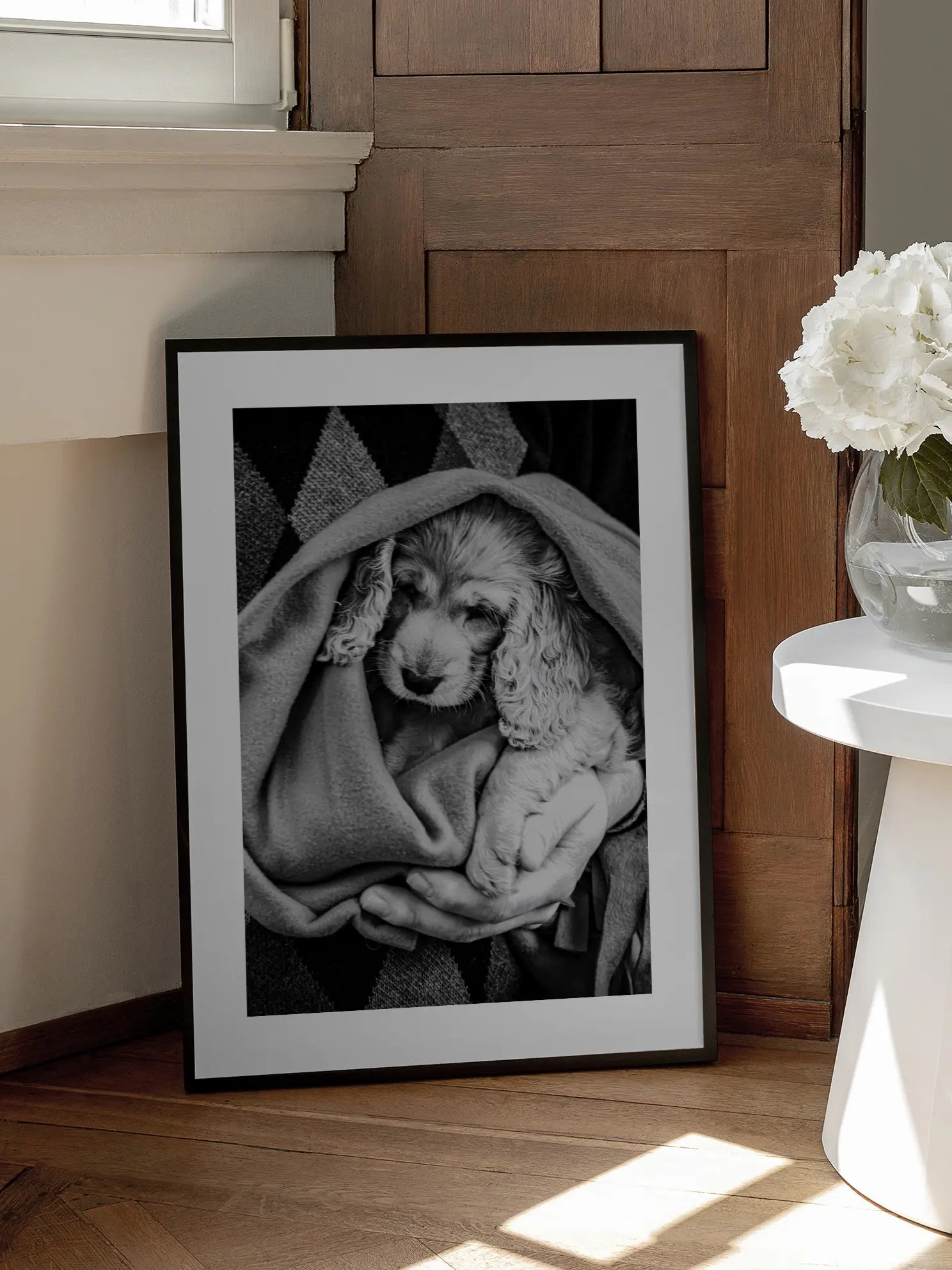 Dog in Blanket Poster
