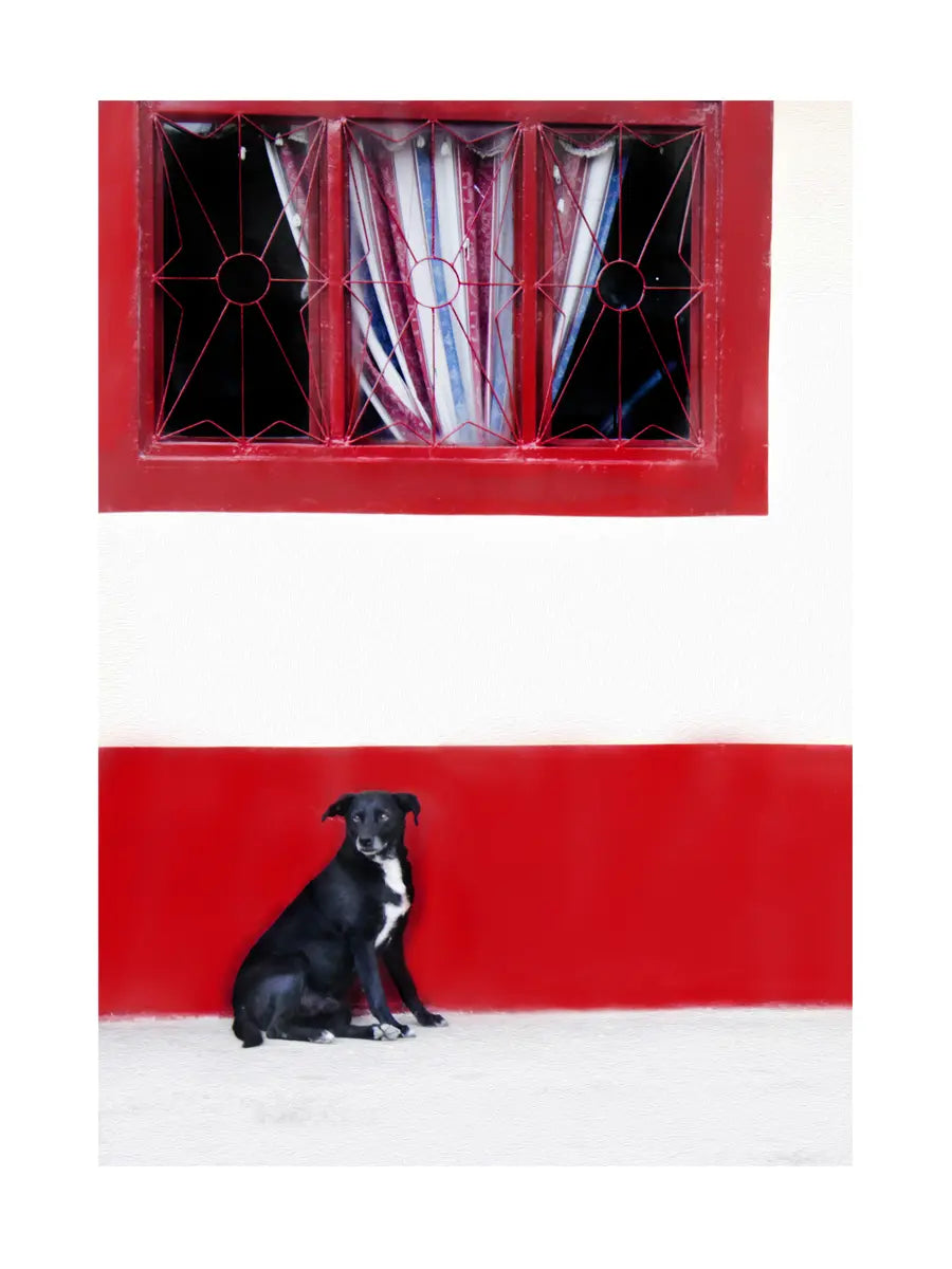 Ein schwarzer Hund sitzt vor einem rot-weißen Haus mit einem roten Fenster.