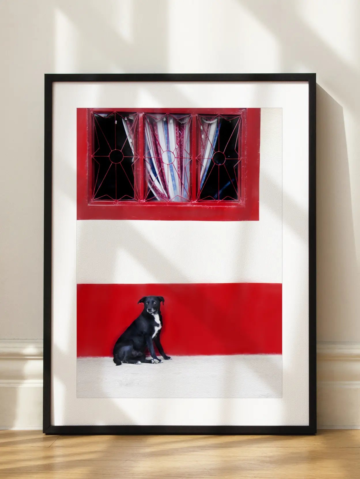 Dog in Mexico Poster