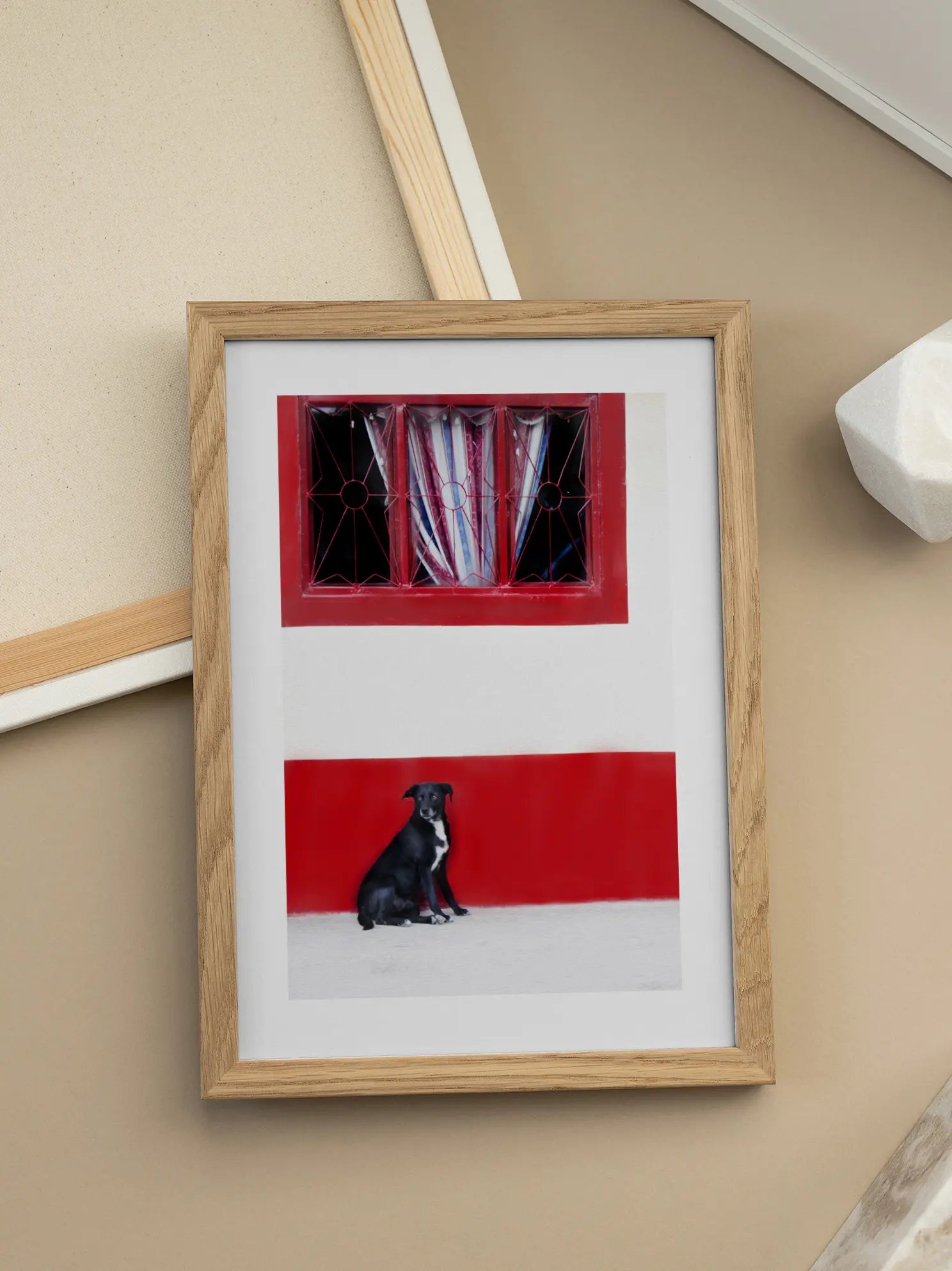 Dog in Mexico Poster