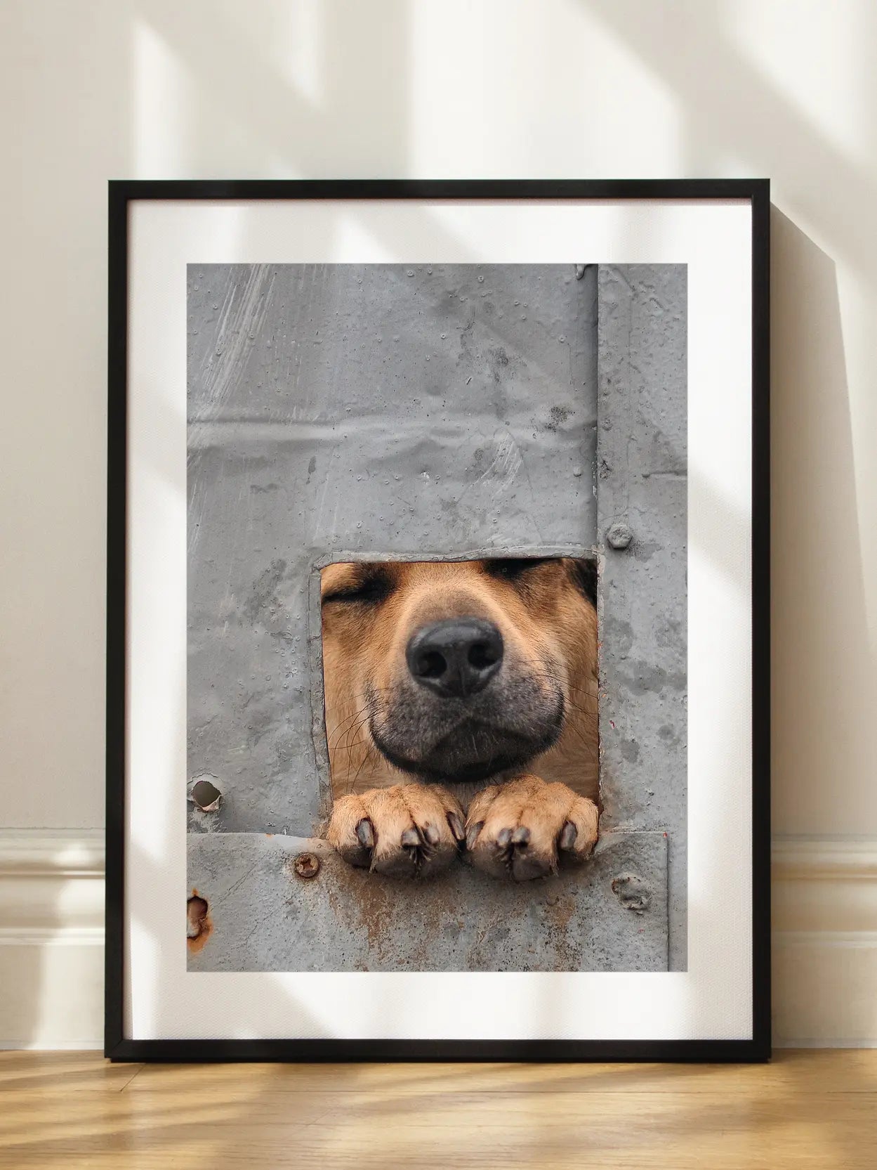 Dog in a Hole