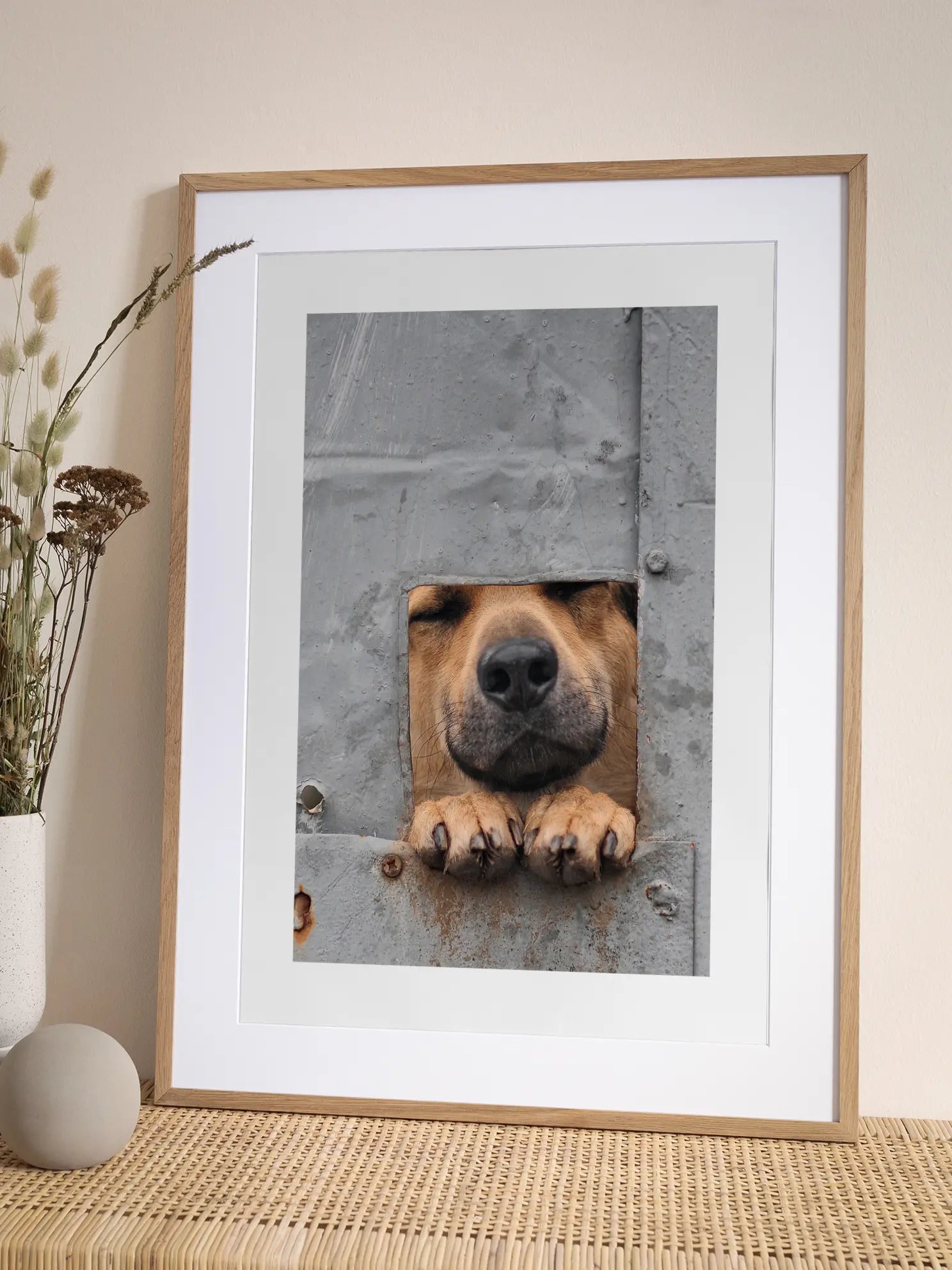 Dog in a Hole Poster