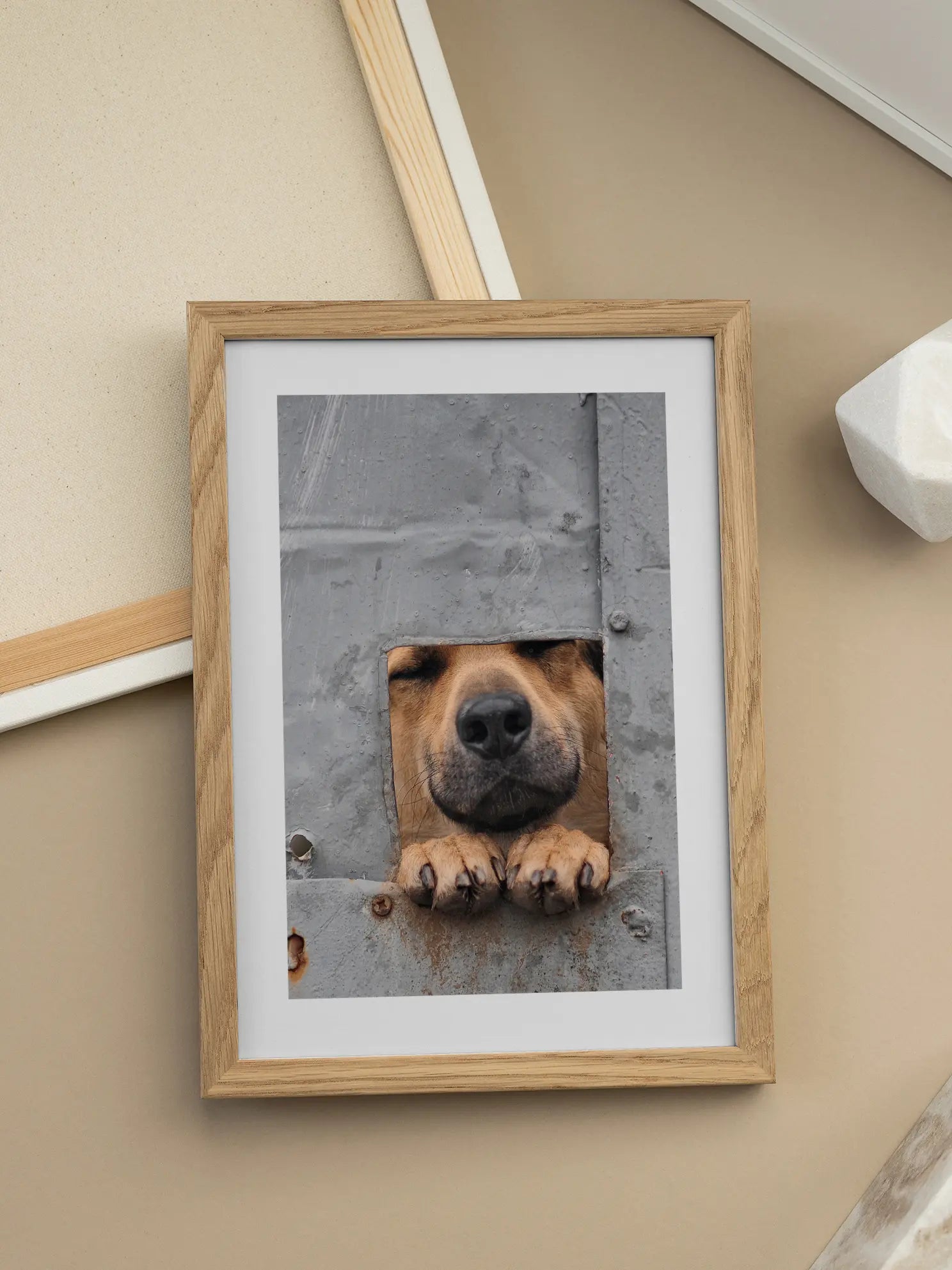 Dog in a Hole Poster