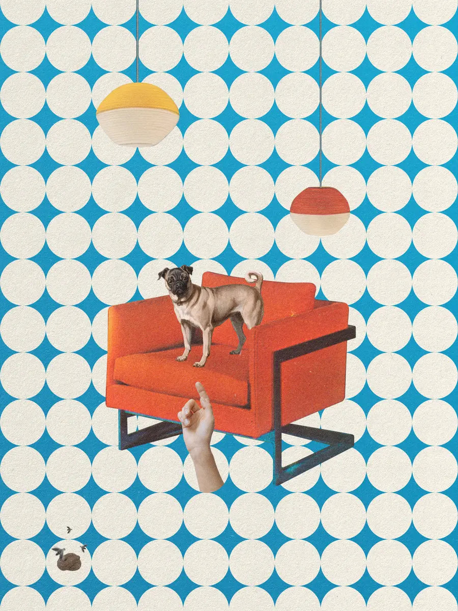 Dog on a Chair Poster