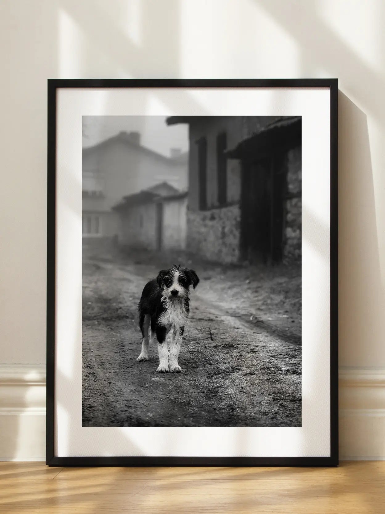 Dog on the Road Poster