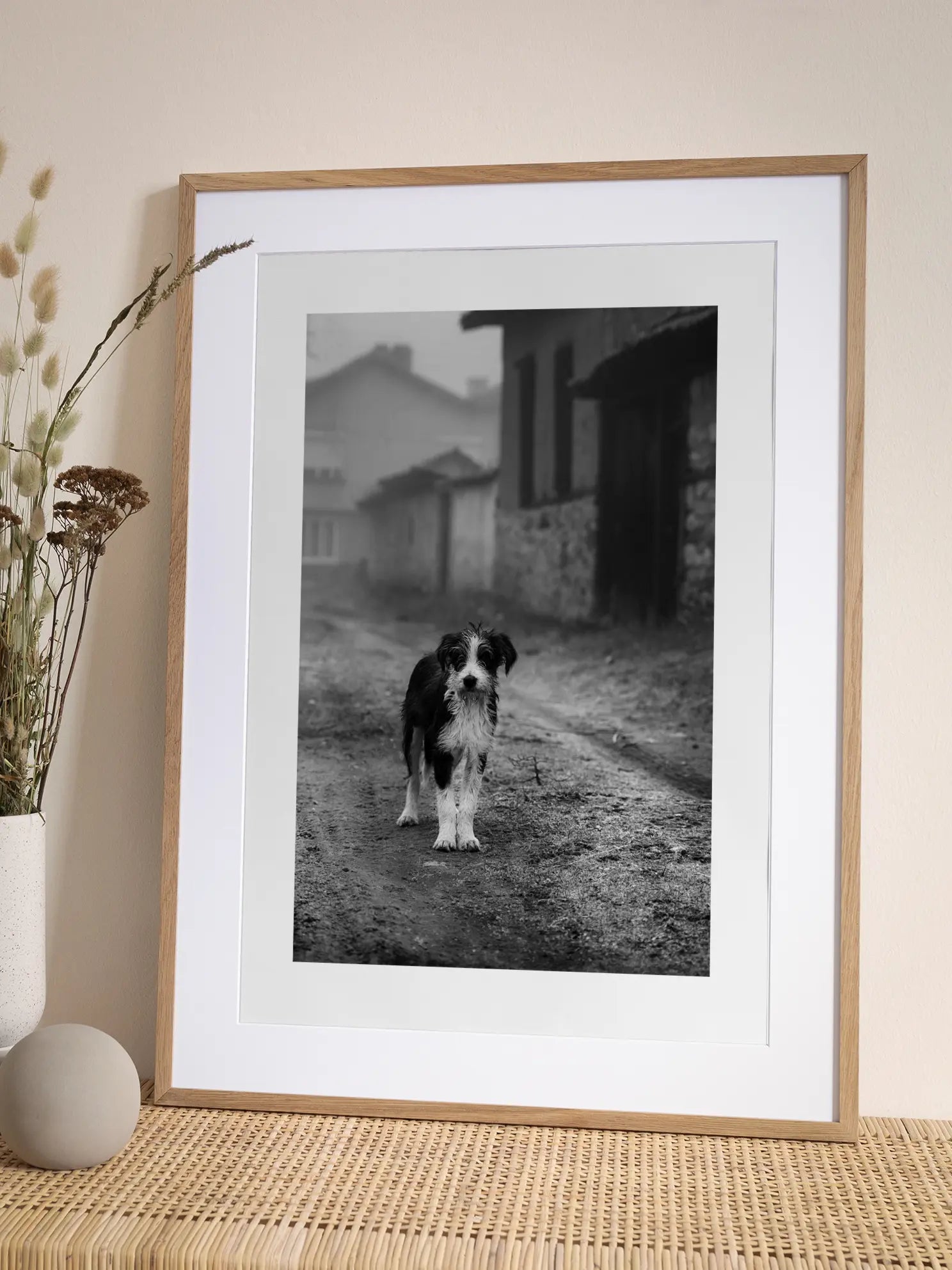 Dog on the Road Poster